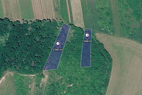 Predaj pozemku 4.931 m², Brumovice Predaj pozemku 4.931 m², Brumovice