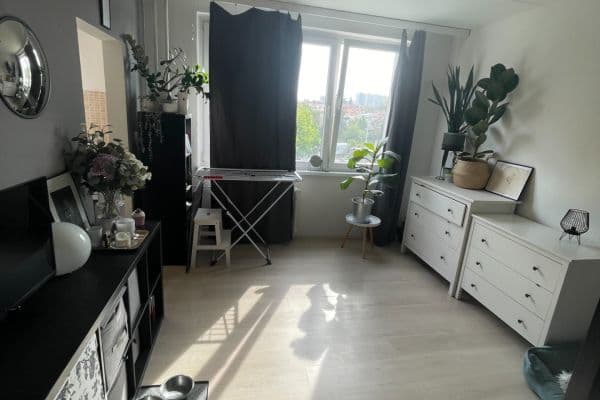 Prenájom bytu 1-izbový 30 m², Benkova, Praha Prenájom bytu 1-izbový 30 m², Benkova, Praha