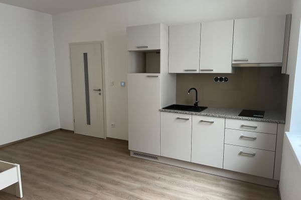 Prenájom bytu 1-izbový 30 m², Puškinova, Plzeň Prenájom bytu 1-izbový 30 m², Puškinova, Plzeň