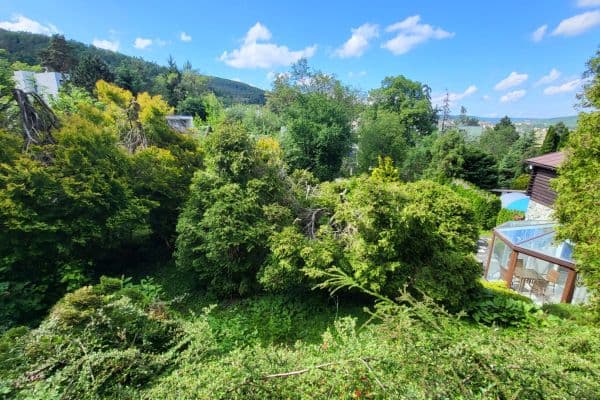 Predaj pozemku 1.087 m², Muškátová, Brno Predaj pozemku 1.087 m², Muškátová, Brno