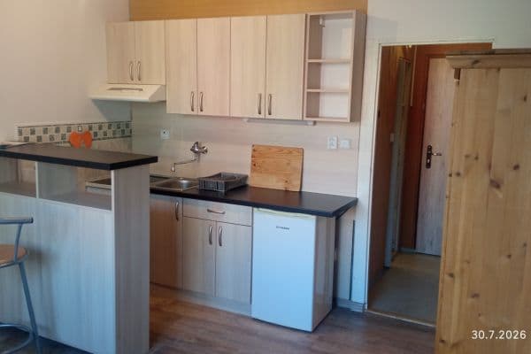 Prenájom bytu 1-izbový 20 m², Popelnicová, Plzeň Prenájom bytu 1-izbový 20 m², Popelnicová, Plzeň