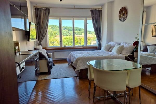 Prenájom bytu 1-izbový 32 m², Masarykovo nábřeží, Praha Prenájom bytu 1-izbový 32 m², Masarykovo nábřeží, Praha