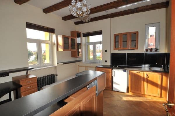 Prenájom bytu 1-izbový 15 m², V Olšinách, Praha Prenájom bytu 1-izbový 15 m², V Olšinách, Praha