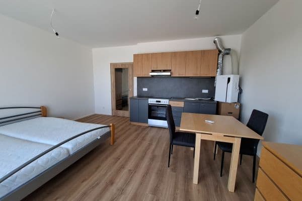 Prenájom bytu 1-izbový 32 m², Řepova, Brno Prenájom bytu 1-izbový 32 m², Řepova, Brno
