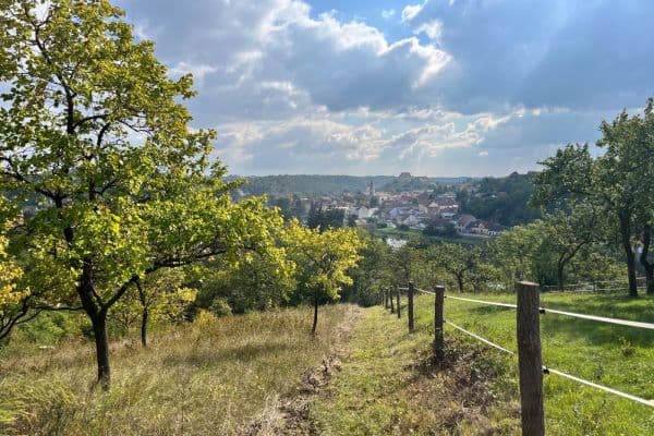 Predaj pozemku 3.055 m², Dolní Kounice Predaj pozemku 3.055 m², Dolní Kounice