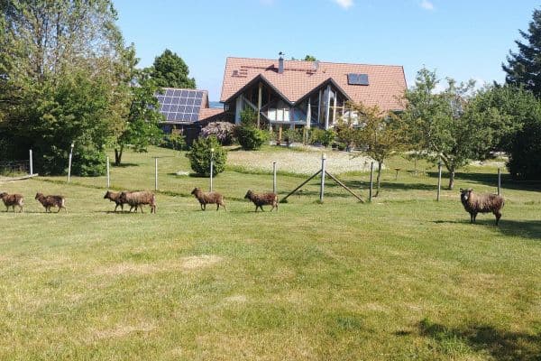 Predaj domu 262 m², pozemok 14.683 m², Rathausstraße 25, Bad Wurzach Predaj domu 262 m², pozemok 14.683 m², Rathausstraße 25, Bad Wurzach
