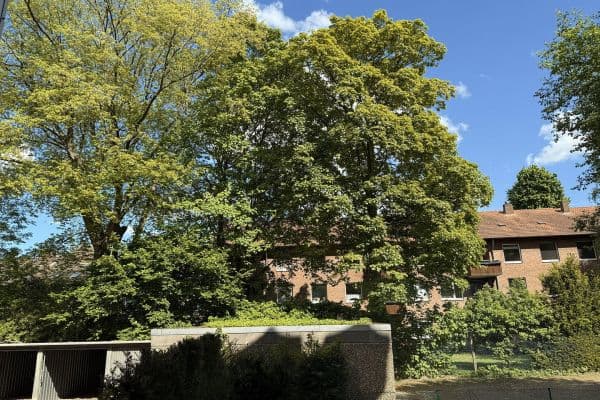 Predaj bytu 4-izbový 82 m², Münster, Severné Porýnie - Westfálsko Predaj bytu 4-izbový 82 m², Münster, Severné Porýnie - Westfálsko
