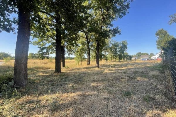 Predaj pozemku 400 m², Pfarrholz 12, Pegau Predaj pozemku 400 m², Pfarrholz 12, Pegau