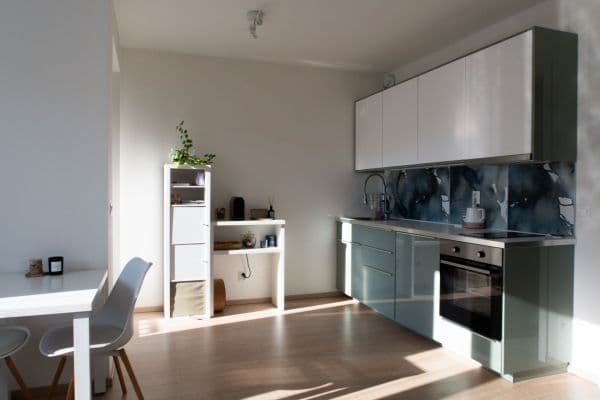 Prenájom bytu 1-izbový 38 m², Strnadových, Praha Prenájom bytu 1-izbový 38 m², Strnadových, Praha