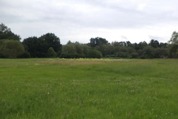 Predaj pozemku 5.581 m², Česká Lípa Predaj pozemku 5.581 m², Česká Lípa