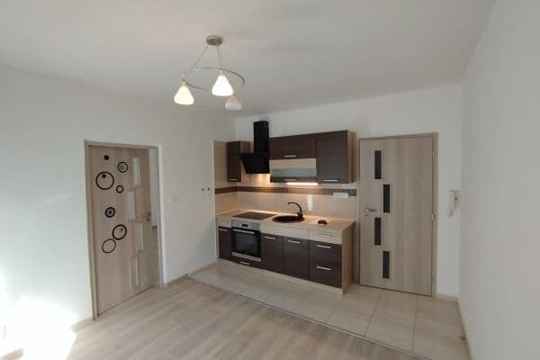 Prenájom bytu 1-izbový 36 m², Nová, Ústí nad Labem Prenájom bytu 1-izbový 36 m², Nová, Ústí nad Labem