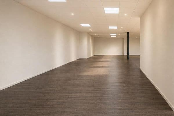 Prenájom nebytového priestoru 220 m², Georg-Fischer-Straße 32, Singen (Hohentwiel), Bádensko-Wurttembersko Prenájom nebytového priestoru 220 m², Georg-Fischer-Straße 32, Singen (Hohentwiel), Bádensko-Wurttembersko