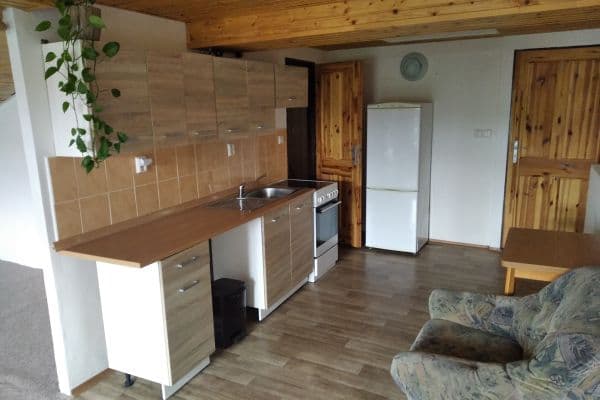 Prenájom bytu 1-izbový 40 m², Lázeňská, Liberec Prenájom bytu 1-izbový 40 m², Lázeňská, Liberec