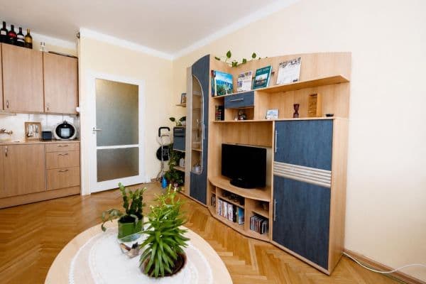 Prenájom bytu Garsoniéra 24 m², Hostýnská, Praha Prenájom bytu Garsoniéra 24 m², Hostýnská, Praha
