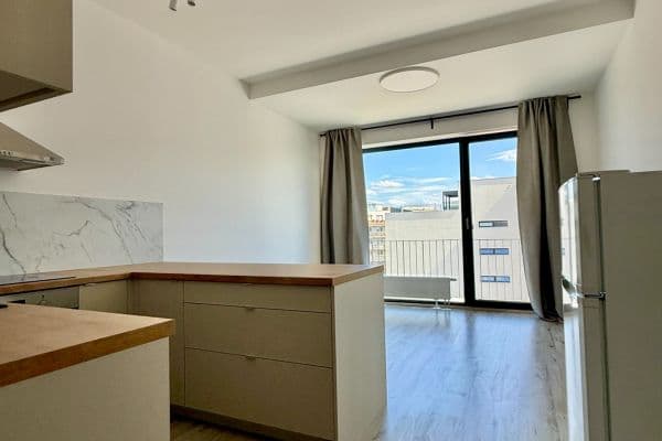 Prenájom bytu 1-izbový 37 m², Železná, Plzeň, Plzeňský kraj Prenájom bytu 1-izbový 37 m², Železná, Plzeň, Plzeňský kraj