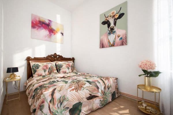 Prenájom bytu 30 m², Horní náměstí a, Olomouc, Olomoucký kraj Prenájom bytu 30 m², Horní náměstí a, Olomouc, Olomoucký kraj