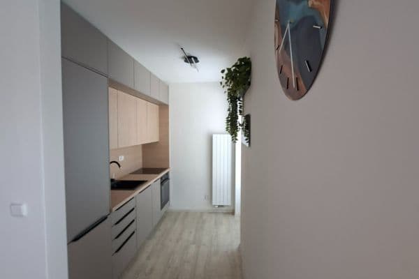 Prenájom bytu 1-izbový 33 m², Dělnická, Čelákovice Prenájom bytu 1-izbový 33 m², Dělnická, Čelákovice