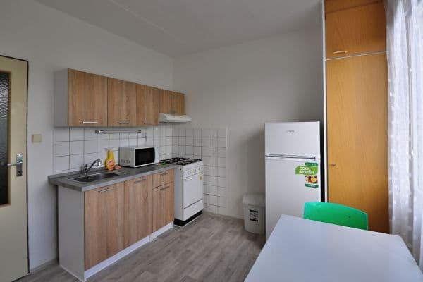 Prenájom bytu 1-izbový 49 m², Bzenecká, Plzeň, Plzeňský kraj Prenájom bytu 1-izbový 49 m², Bzenecká, Plzeň, Plzeňský kraj