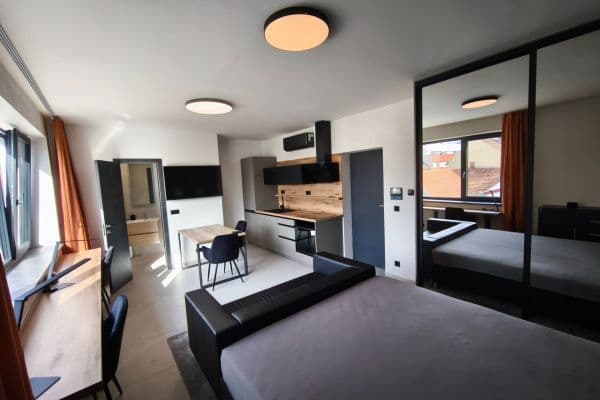 Prenájom bytu 1-izbový 30 m², Šmejkalova, Brno Prenájom bytu 1-izbový 30 m², Šmejkalova, Brno
