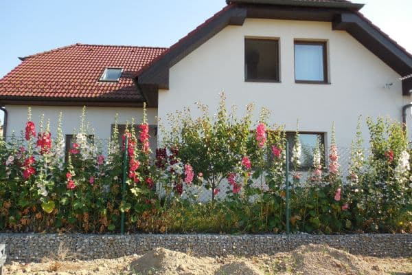 Predaj domu 217 m², pozemok 845 m², Záhoří Predaj domu 217 m², pozemok 845 m², Záhoří