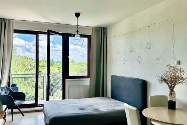 Prenájom bytu 1-izbový 51 m², Davídkova, Praha Prenájom bytu 1-izbový 51 m², Davídkova, Praha