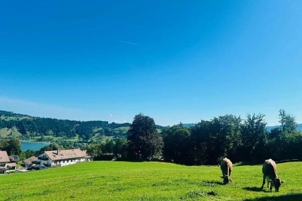 Predaj bytu 2-izbový 46 m², Gschwender-Horn-Weg 19, Immenstadt Predaj bytu 2-izbový 46 m², Gschwender-Horn-Weg 19, Immenstadt