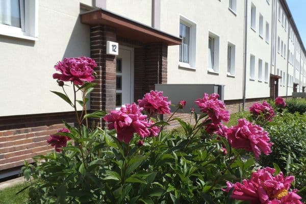 Prenájom bytu 2-izbový 65 m², Eisnerstraße 6, Magdeburg, Sasko-Anhaltsko Prenájom bytu 2-izbový 65 m², Eisnerstraße 6, Magdeburg, Sasko-Anhaltsko