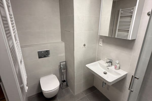 Prenájom bytu 1-izbový 33 m², Jáchymovská, Praha Prenájom bytu 1-izbový 33 m², Jáchymovská, Praha