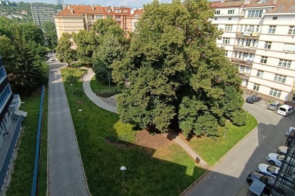 Prenájom bytu 2-izbový 45 m², U Pergamenky, Praha Prenájom bytu 2-izbový 45 m², U Pergamenky, Praha