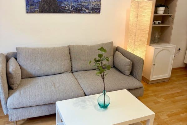 Prenájom bytu 2-izbový 50 m², Petra Slezáka, Praha Prenájom bytu 2-izbový 50 m², Petra Slezáka, Praha