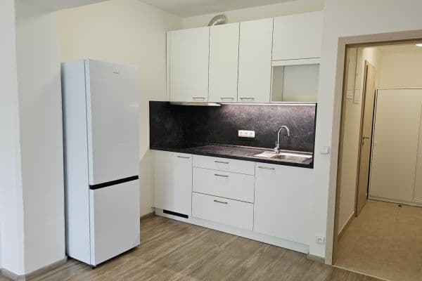 Prenájom bytu 1-izbový 30 m², Sinkulova, Praha Prenájom bytu 1-izbový 30 m², Sinkulova, Praha