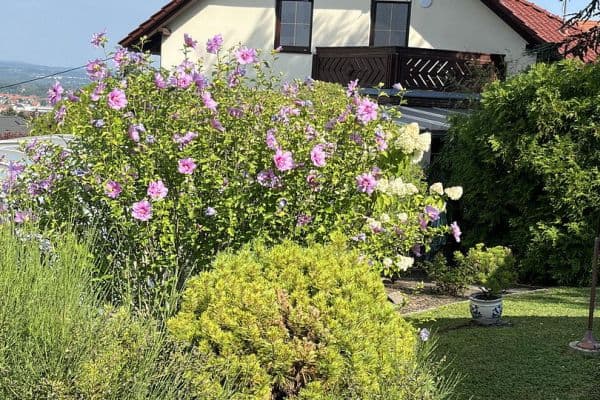 Predaj domu 140 m², pozemok 800 m², Luturmstraße 37, Heidenau Predaj domu 140 m², pozemok 800 m², Luturmstraße 37, Heidenau