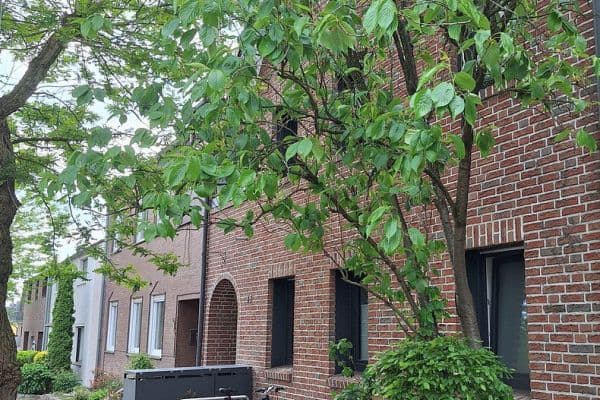 Predaj bytu 3-izbový 72 m², Münsterstraße 65, Haltern am See Predaj bytu 3-izbový 72 m², Münsterstraße 65, Haltern am See