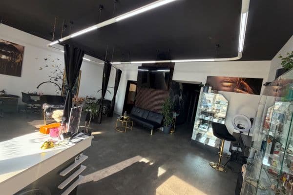 Prenájom nebytového priestoru 167 m², Freyova, Praha Prenájom nebytového priestoru 167 m², Freyova, Praha