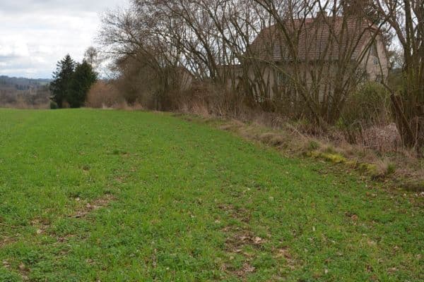 Predaj pozemku 2.259 m², Zruč nad Sázavou Predaj pozemku 2.259 m², Zruč nad Sázavou
