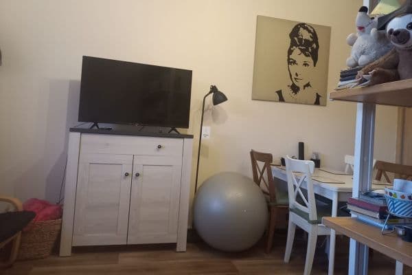 Prenájom bytu 1-izbový 26 m², Kolbenova, Praha Prenájom bytu 1-izbový 26 m², Kolbenova, Praha