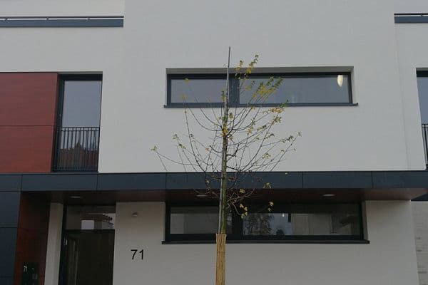 Prenájom bytu 2-izbový 64 m², Kattreinstraße 71, Darmstadt Prenájom bytu 2-izbový 64 m², Kattreinstraße 71, Darmstadt
