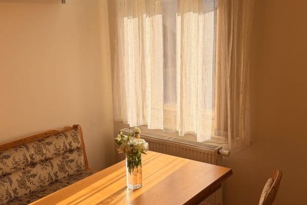 Prenájom bytu 1-izbový 50 m², Haškova, Praha Prenájom bytu 1-izbový 50 m², Haškova, Praha