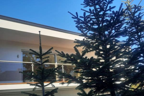 Prenájom bytu 5-izbový 140 m², Hasselroth Prenájom bytu 5-izbový 140 m², Hasselroth