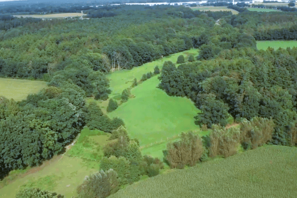 Predaj domu 418 m², pozemok 5.380 m², Hollenstedt Predaj domu 418 m², pozemok 5.380 m², Hollenstedt