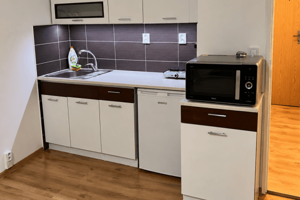Prenájom bytu 1-izbový 26 m², U Parku, Ostrava Prenájom bytu 1-izbový 26 m², U Parku, Ostrava
