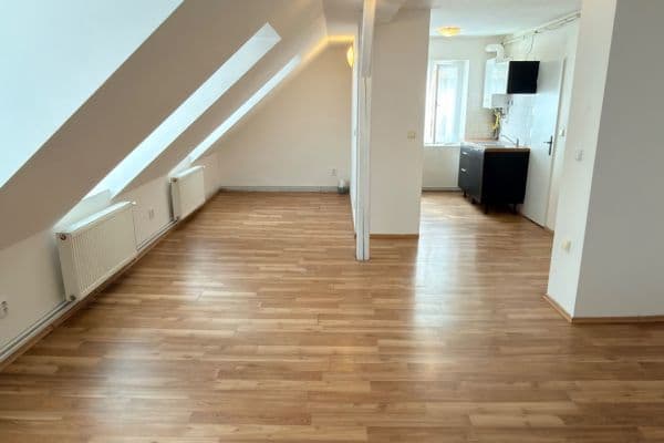 Prenájom bytu 1-izbový 40 m², Růžová, Liberec Prenájom bytu 1-izbový 40 m², Růžová, Liberec