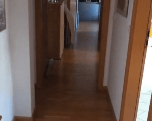 Prenájom bytu 4-izbový 93 m², Lessingstraße 28, Halle (Saale) Prenájom bytu 4-izbový 93 m², Lessingstraße 28, Halle (Saale)