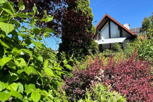 Predaj domu 134 m², pozemok 460 m², Niestetal Predaj domu 134 m², pozemok 460 m², Niestetal