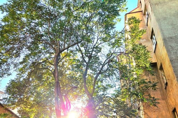Prenájom bytu 2-izbový 65 m², Krásova, Praha Prenájom bytu 2-izbový 65 m², Krásova, Praha