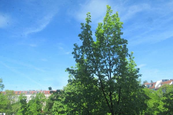 Prenájom bytu 2-izbový 50 m², Berlin, Berlín Prenájom bytu 2-izbový 50 m², Berlin, Berlín