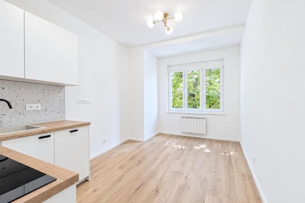 Prenájom bytu 1-izbový 23 m², Petrohradská, Praha Prenájom bytu 1-izbový 23 m², Petrohradská, Praha