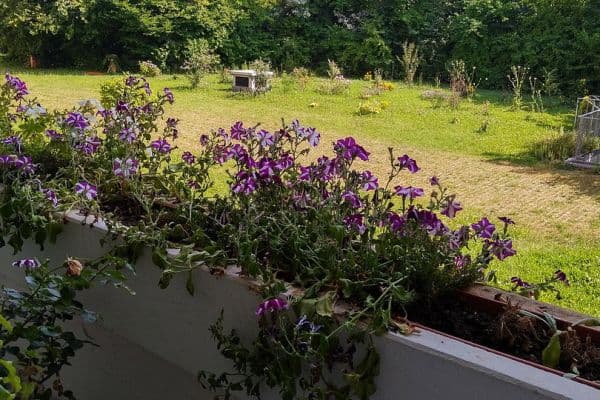 Predaj bytu 3-izbový 72 m², Unterhaching, Bavorsko Predaj bytu 3-izbový 72 m², Unterhaching, Bavorsko