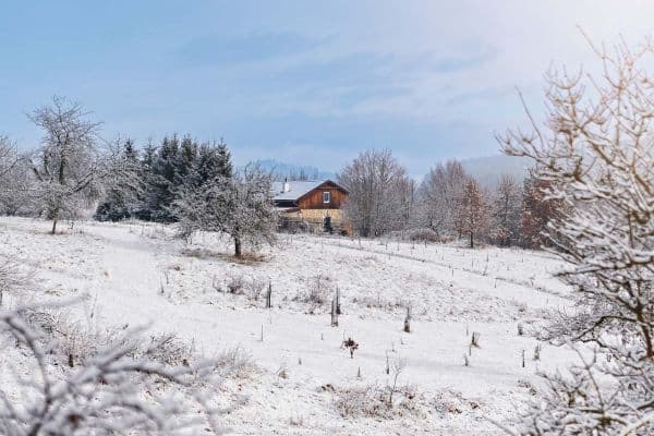 Prenájom rekreačného objektu, Nepomuk, Plzeňský kraj Prenájom rekreačného objektu, Nepomuk, Plzeňský kraj