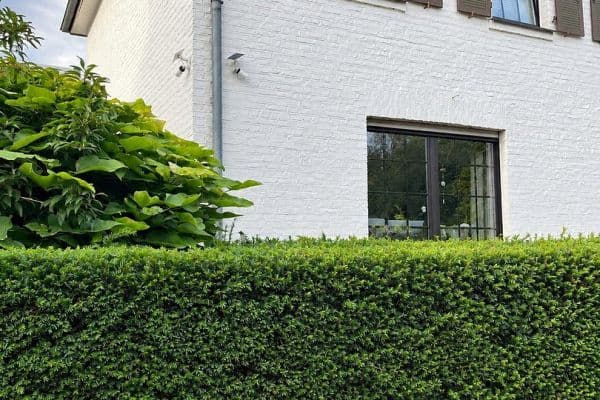 Predaj domu 110 m², pozemok 349 m², Heinsberg Predaj domu 110 m², pozemok 349 m², Heinsberg